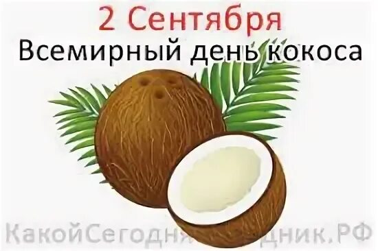 365 дней с кокосом. 2 сентября день кокоса. 2 сентября день кокоса картинки. Всемирный день кокоса открытки. Обои на телефон кокос.