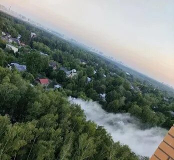 Дрон над кучино
