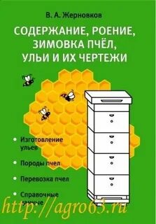 Пчелы методы содержания