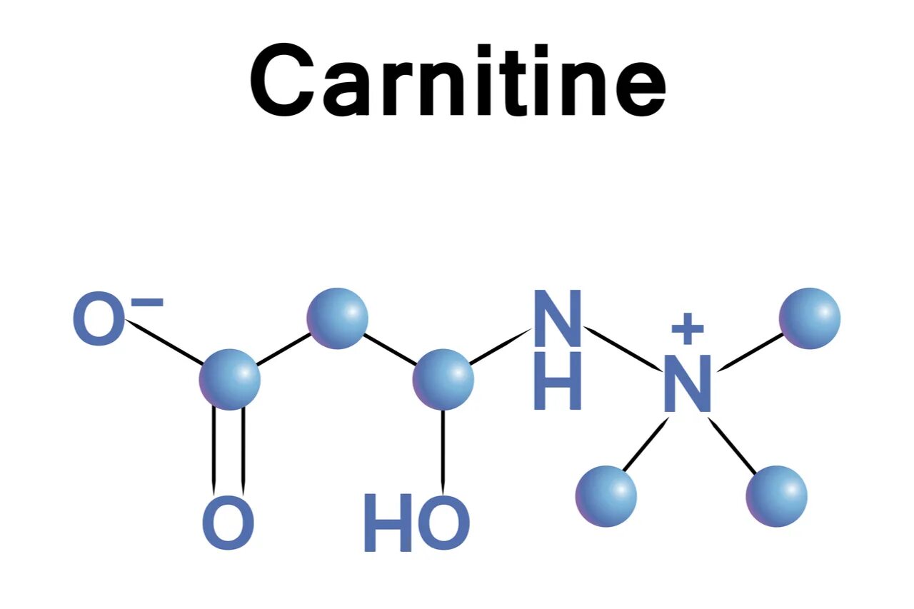 L amino acid