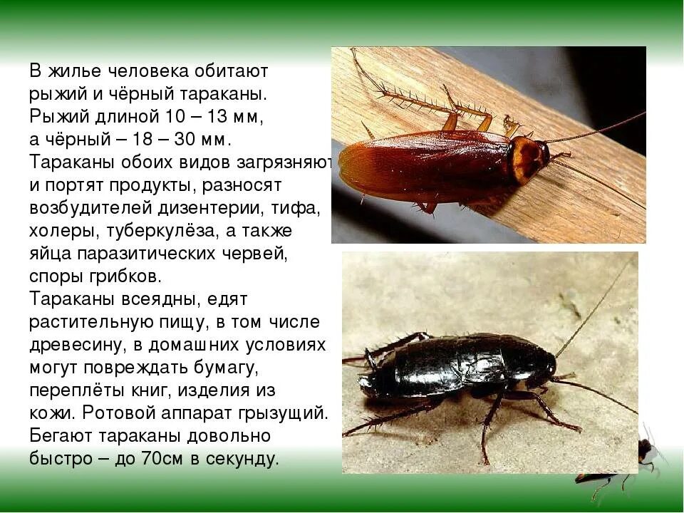 Обитающих в них видов