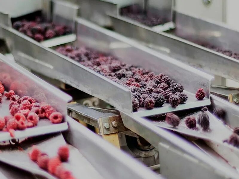 Шоковая заморозка фруктов. Ягоды шоковой заморозки. Производство ягод. Завод по переработке ягод.