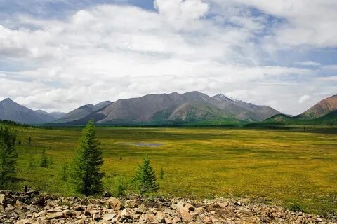 Тундра горы без леса якуты