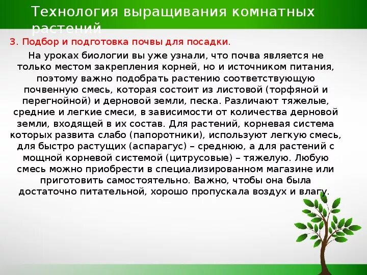 Практическая работа технологии выращивания растений. Техника выращивания комнатных растений. Технология выращивания комнатных цветов. Технология выращивания комнатных цветов технология. Технология выращивания комнатного цветка,.