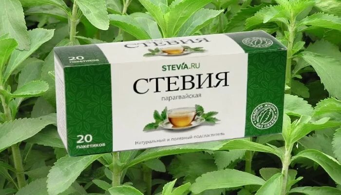 Стевия вкус. Стевия сахарозаменитель трава. Стевия медовая травка. Стевия сахарозаменитель в пакетиках. Подсластитель стевия для диабетиков.