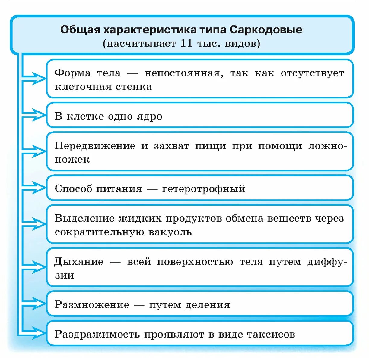 Краткая характеристика класса 8 класс. Класс Саркодовые общая характеристика таблица. Класс Саркодовые общая характеристика. Класс Саркодовые представители таблица 7 класс. Общие признаки класса Саркодовые.