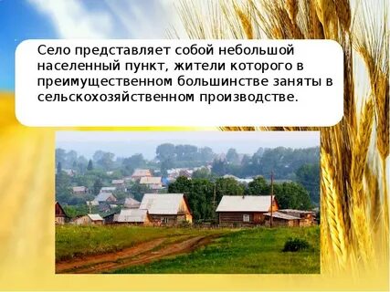 Проект сельская среда