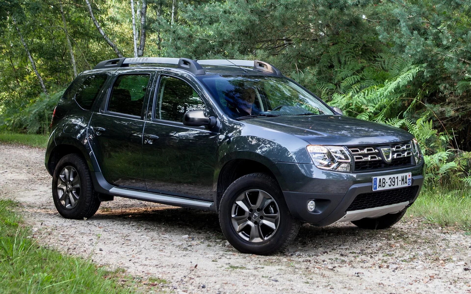 Можно дастер. Renault duster 2014. рено дастер 2014. renault duster серый. dacia duster 2013.