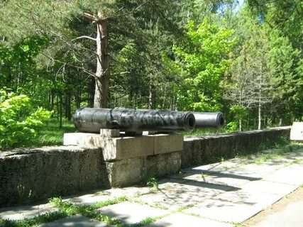 Лебяженское городское поселение ломоносовского