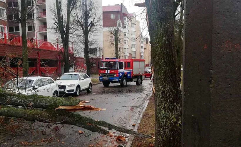 Последствия ветров. Ураган в Беларуси. Ураган в Минске. Последствия непогоды в Беларуси вчера. Ураган в Белоруссии в 2013.