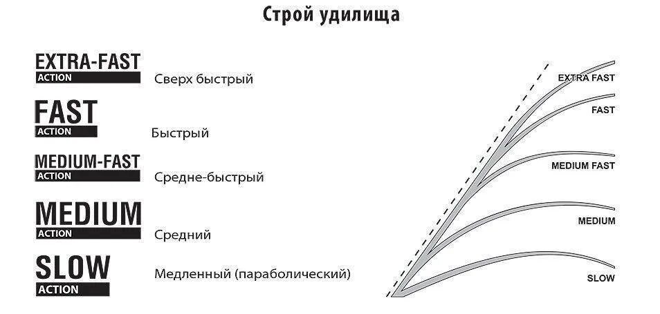 Media fast. Mod.fast Строй спиннинга. Строй Медиум у спиннинга. Fast Action Строй спиннинга. Medium fast Строй спиннинга.