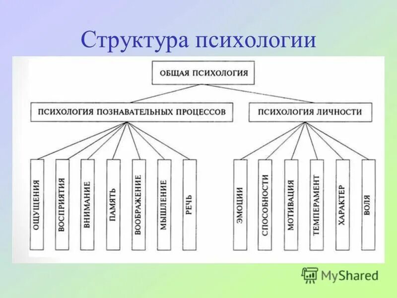 структуру и отрасли современной психологии. чем отличается психологическое консультирование от психотерапии. структуру личности составляют в психологии. обобщенная структура личности схема. схема структуры психологической науки.