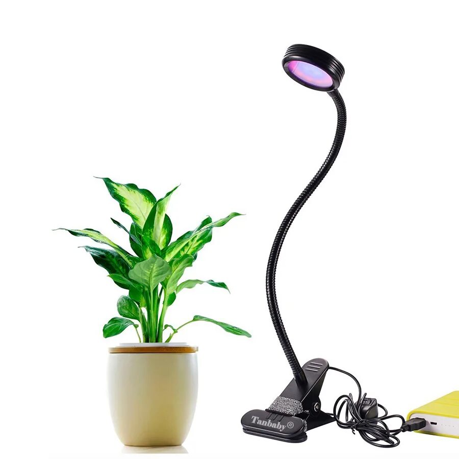 Led plant lights. Лампа для растений 1000w led линзы. Подсветка для комнатных растений. Лампы для цветов комнатных. Торшер для подсветки растений.