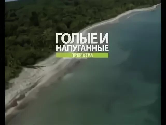 Дискавери напуганные. Дискавери напуганные