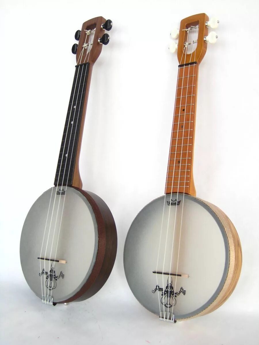 Немецкий струнный инструмент похожий. Мексиканский струнный инструмент. Мексиканский струнный щипковый инструмент. Банджо мандолина. Банджо 8 струн.