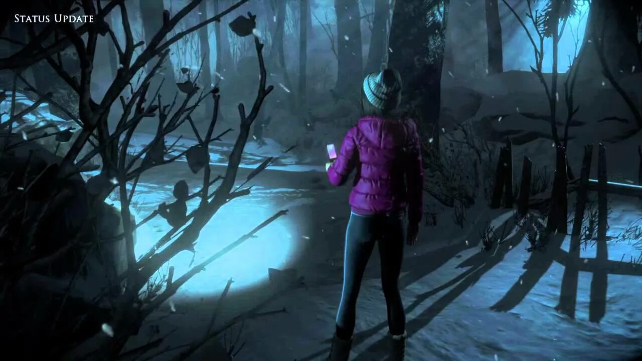 Дожить до девяноста лет глубочайшее озеро. Until dawn beth. ханна вашингтон вендиго. дожить до рассвета ханна и бет.