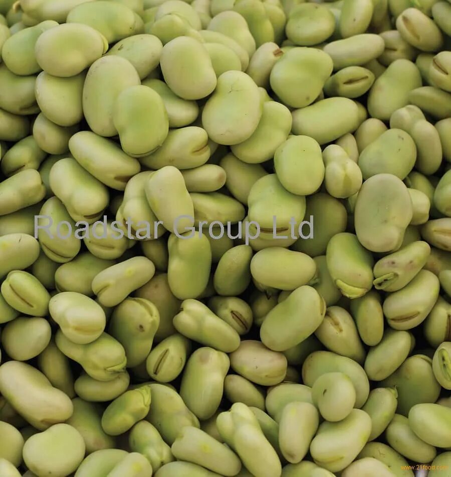 Lima beans