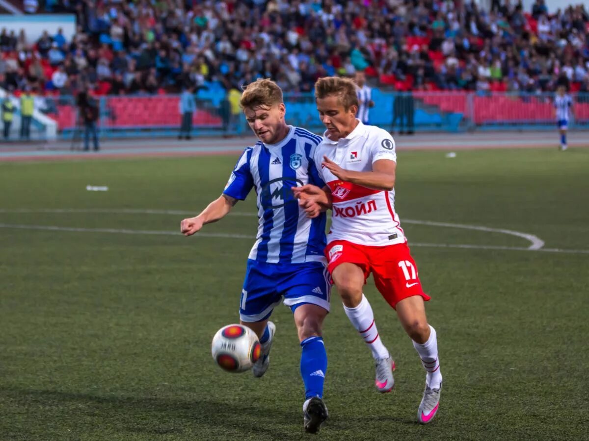 Коршун тетеревятник. Фк сокол саратов 2008. Сегодня сокол. Сегодня сокол. Ястреб пустельга сокол пустельга.