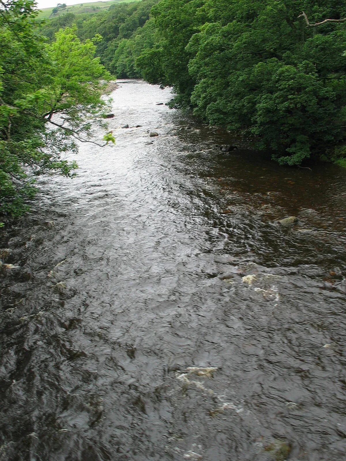 River wear. Река тим орловская область. River wear. River wear. River wear.