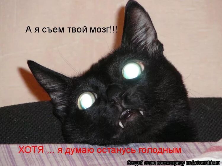 Сожру твой мозг