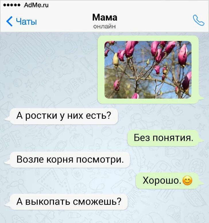 Чат мамочек. Мать чата. Мамин чат картинка. Чат мам картинки. Видео чаты мама