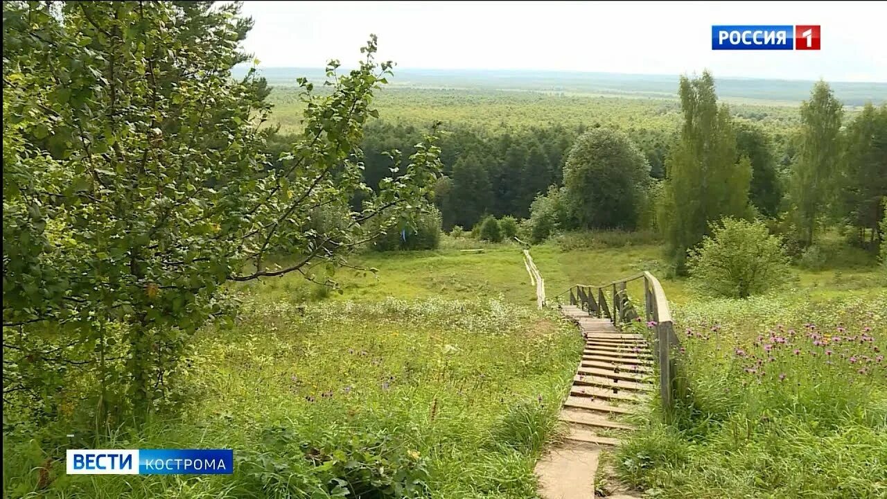 Кострома сусанинские болота. Заячья тропа в костроме. Сусанинская тропа. Тропа кострома. Сусанино исуповское болото.