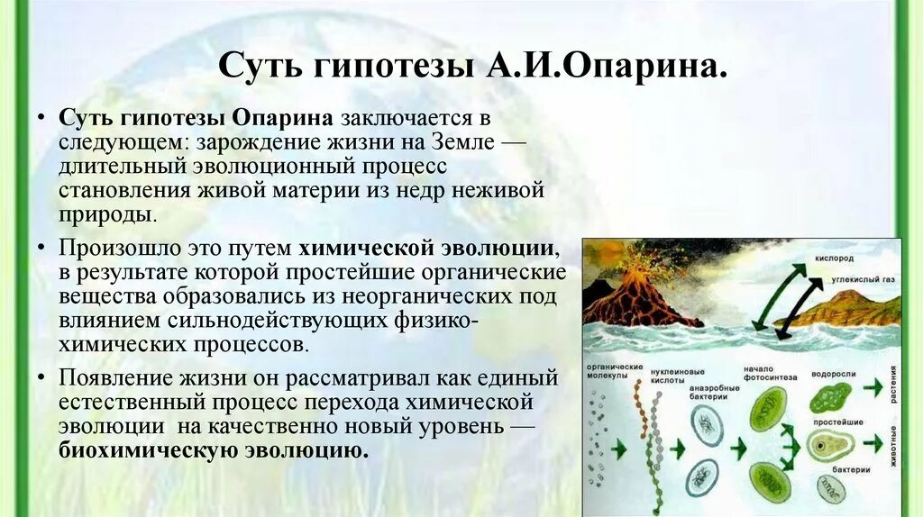 Какова роль кислорода в эволюции жизни биология. Гипотеза абиогенного зарождения жизни Опарин. Этапы биохимической гипотезы Опарина. Биохимическая теория возникновения жизни на земле Опарин и. А И Опарин гипотеза о происхождении жизни на земле.