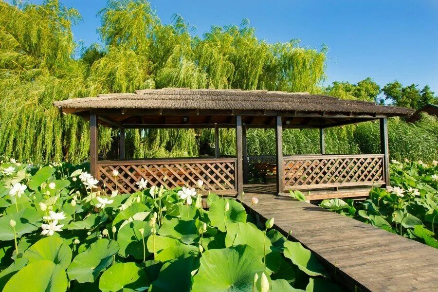 усадьба фамилия краснодарский край