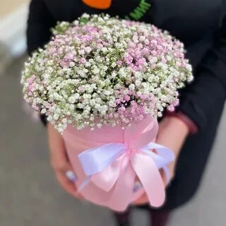 Гипсофила в коробке