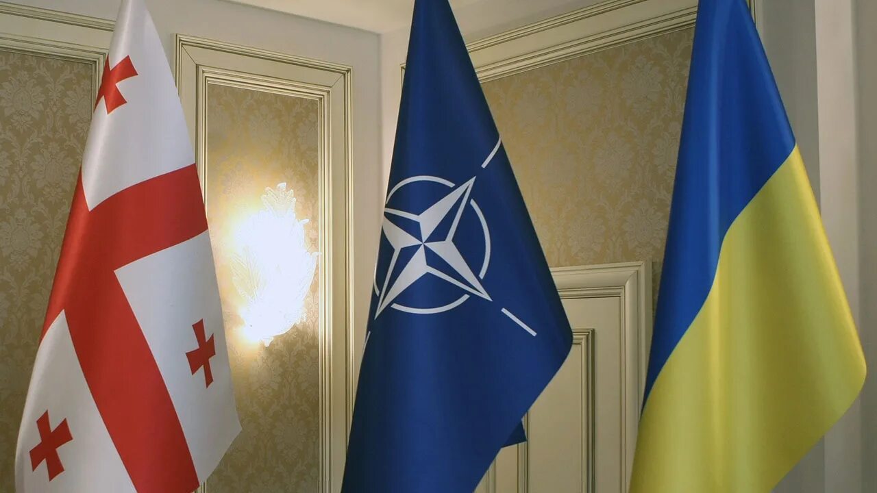 В нато ли грузия. НАТО Украина Грузия. Германия НАТО. Грузия Украина Россия НАТО. Украина вступила в НАТО.