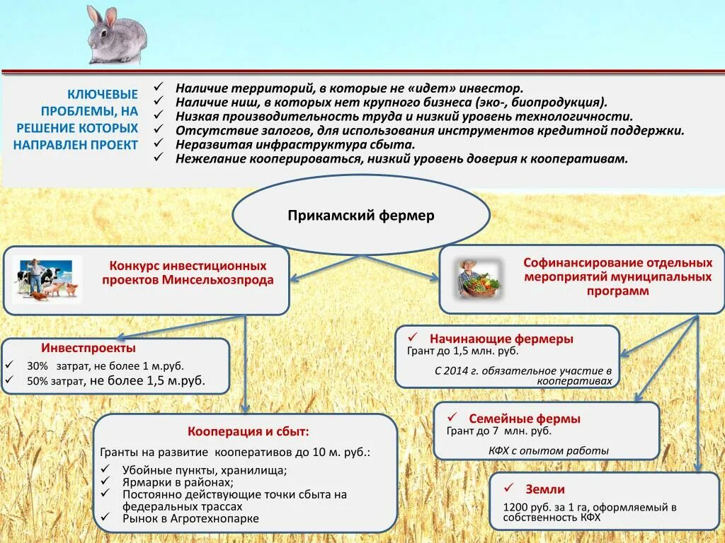 Фермерство программа