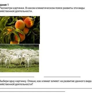 Какие из представленных видов хозяйственной деятельности человека