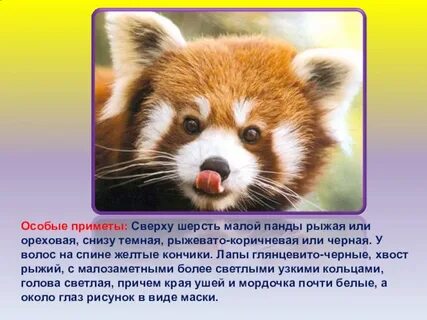 Сообщение малая