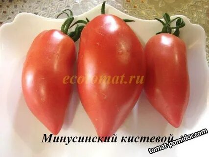 Минусинский кистевой томат отзывы