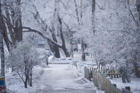 Погода в ноябре благовещенске амурской
