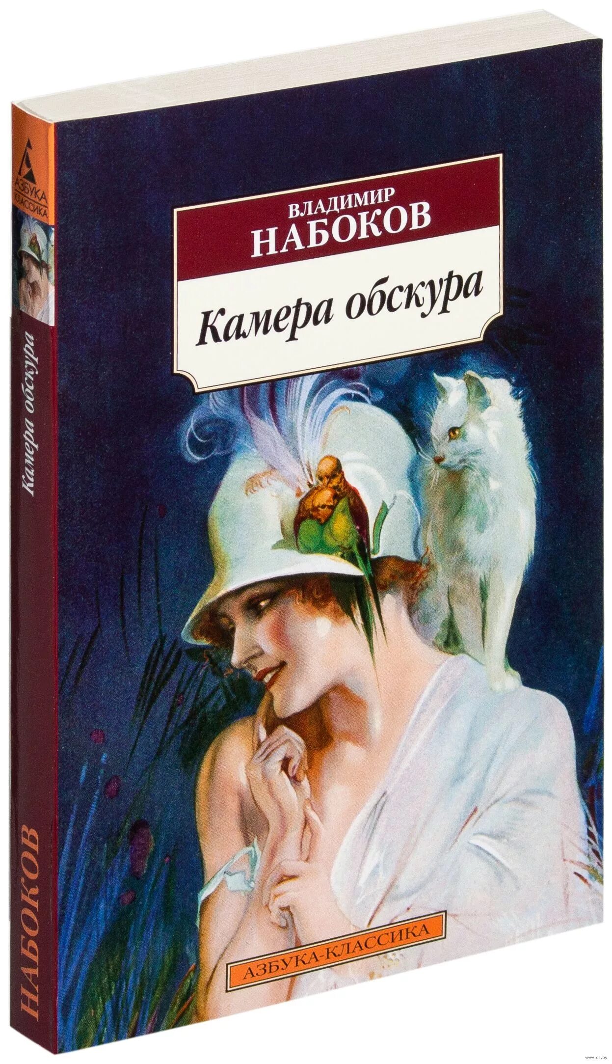 Лучшие произведения набокова. Камера обскура Набоков книга. Набоков о романе камера обскура. «Камера обскура» Владимира Набокова.