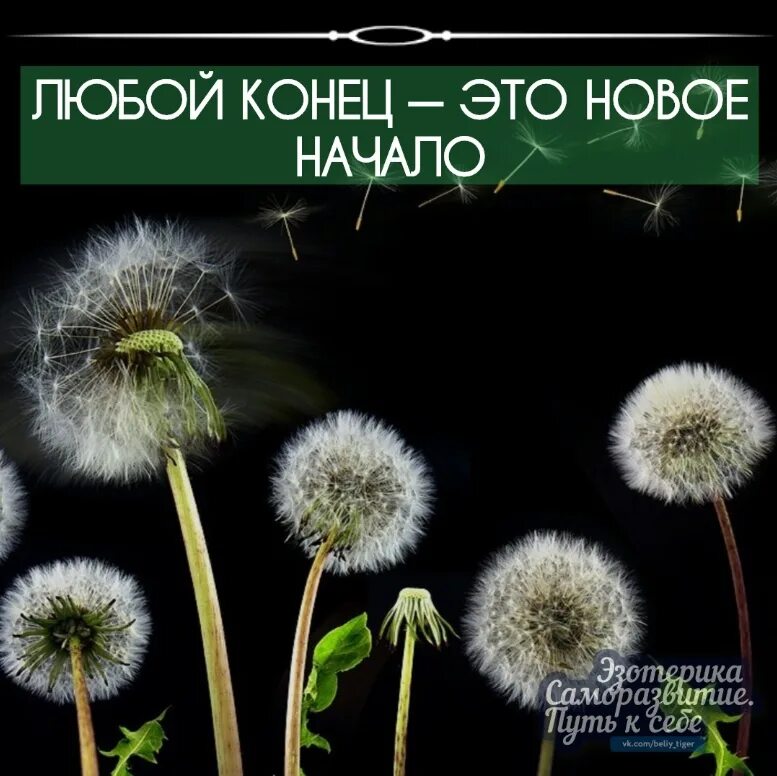 У всего есть начало и конец. Любой конец это начало нового. Конец это только начало. Конец это новое начало. Любой конец это начало чего то.