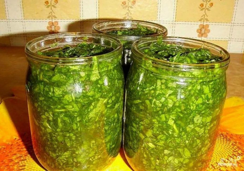 Щавель на зиму в банках. Щавель на зиму в банках. Маринованная крапива на зиму. Заготовки на зиму. Заготовка щавеля на зиму в банках.