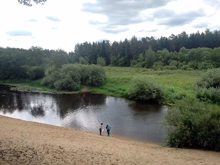 Золотой пляж река Луга. Река Луга Кингисепп пляж. Золотой пляж в городе Луга. Толмачево пляж река Луга.