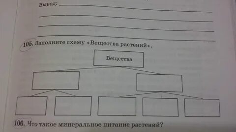 Заполни схему вещества 3 класс