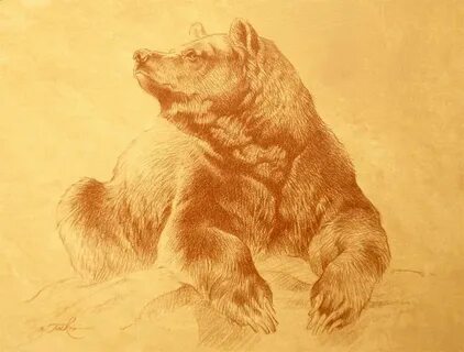 Рисунок бурые