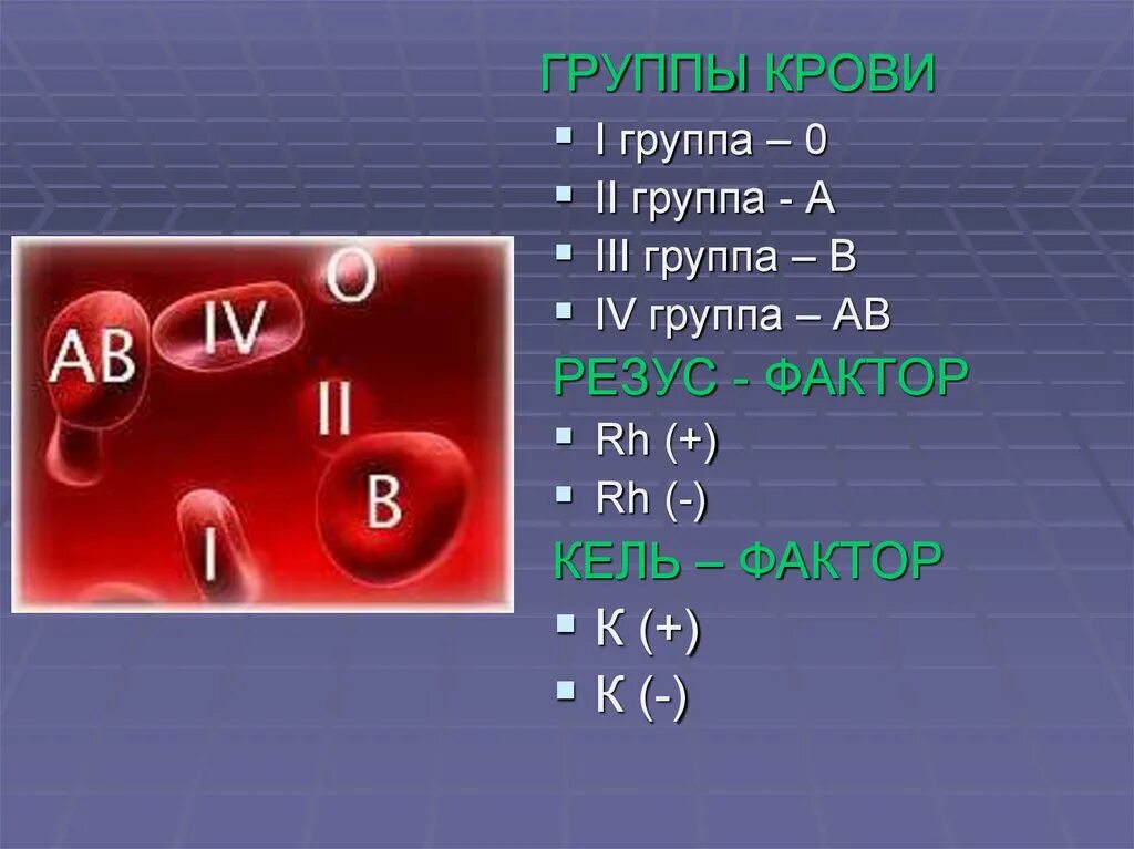 Фактор группы крови. Группа крови. Группа крови 0. Группа крови медицина. Трансфузиология группы крови.