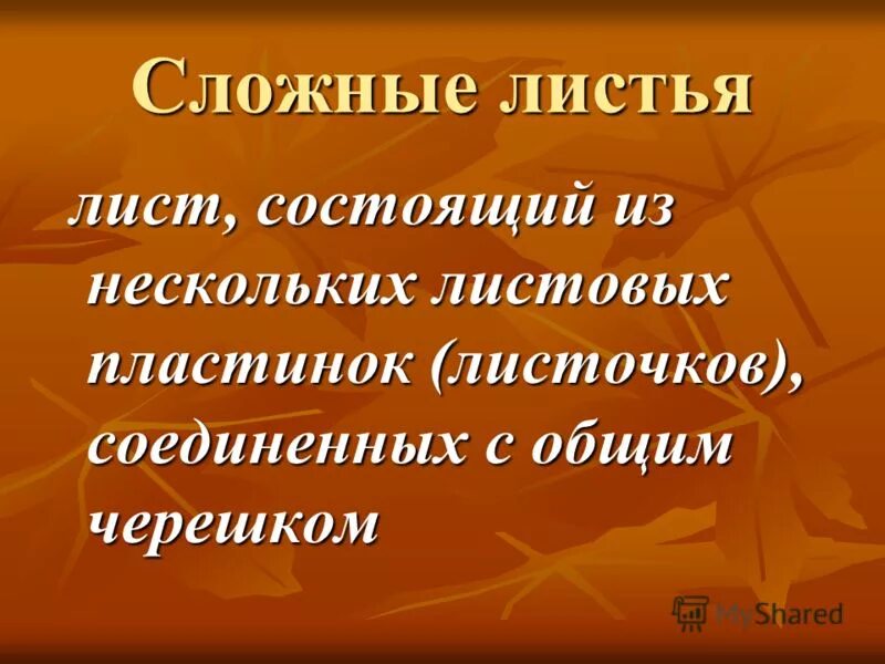 Давайте сравним. Сложный лист состоит из. Черешок листа. Из чего состоит лист. Пункты анкеты.