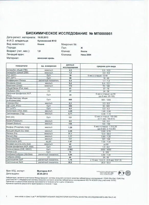 Норма сахара в крови у кошек показатели. Норма Глюкозы в крови у котят. Норма сахара в крови у кота 9 лет.