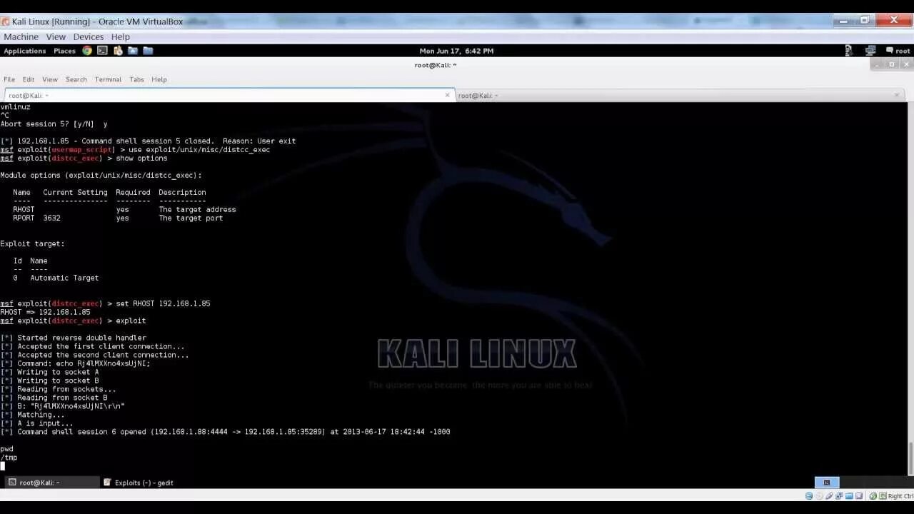 Target linux. Консоль кали линукс. exploit linux. запуск metasploit в kali linux. kali dahua exploit.
