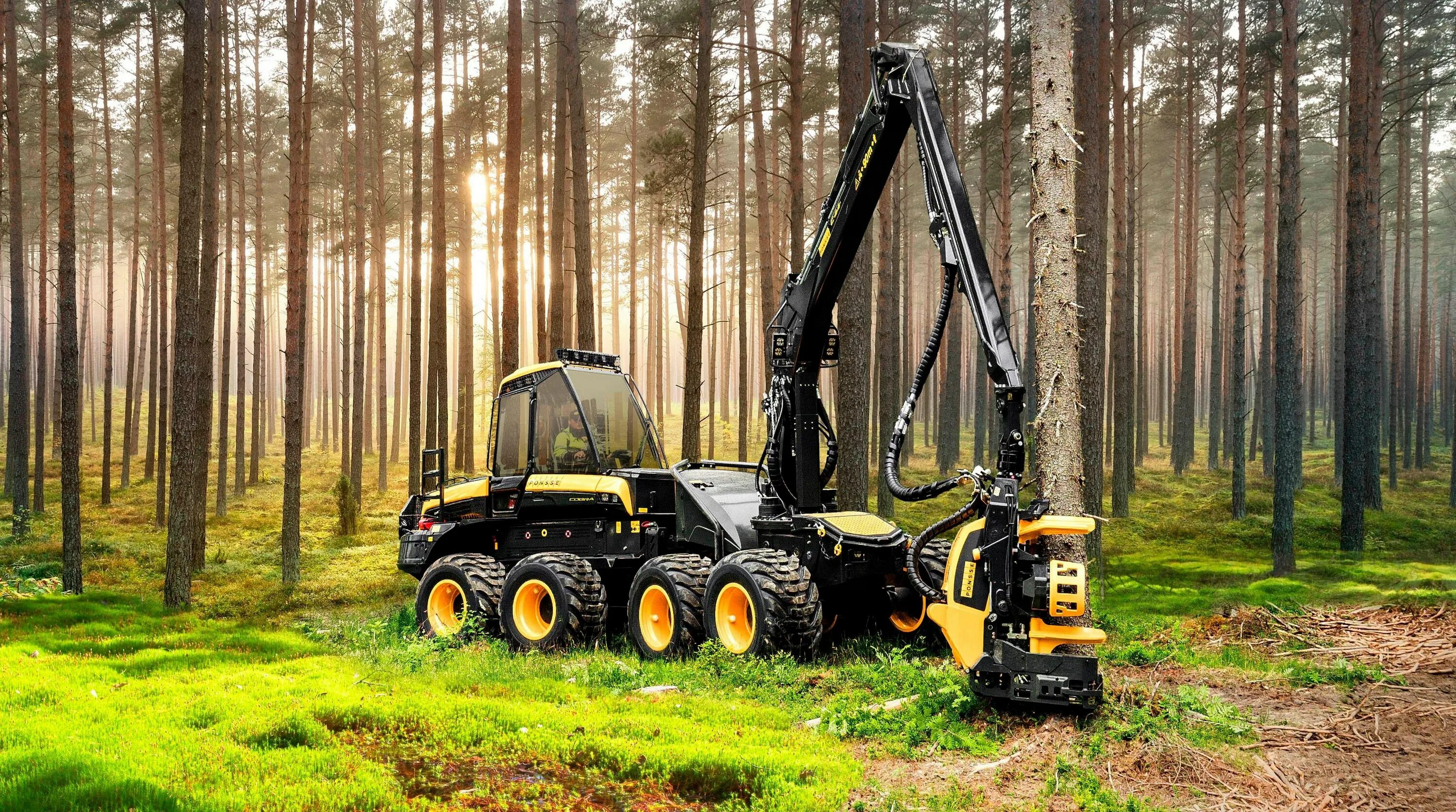 Вакансии оператор харвестера и форвардера. Харвестер ponsse buffalo. Форвардер понссе. Харвестер джон дир 1270e. Харвестер амкодор 2561.