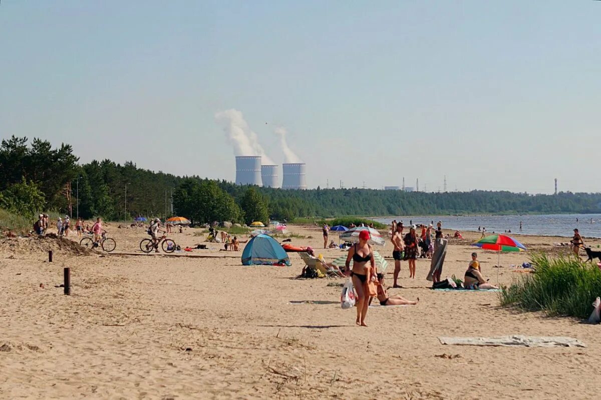 Липово ленинградская область. Липовский пляж сосновый бор. городской пляж сосновый бор ленинградская область. финский залив сосновый бор пляж. пляж липово сосновый бор ленинградская область.
