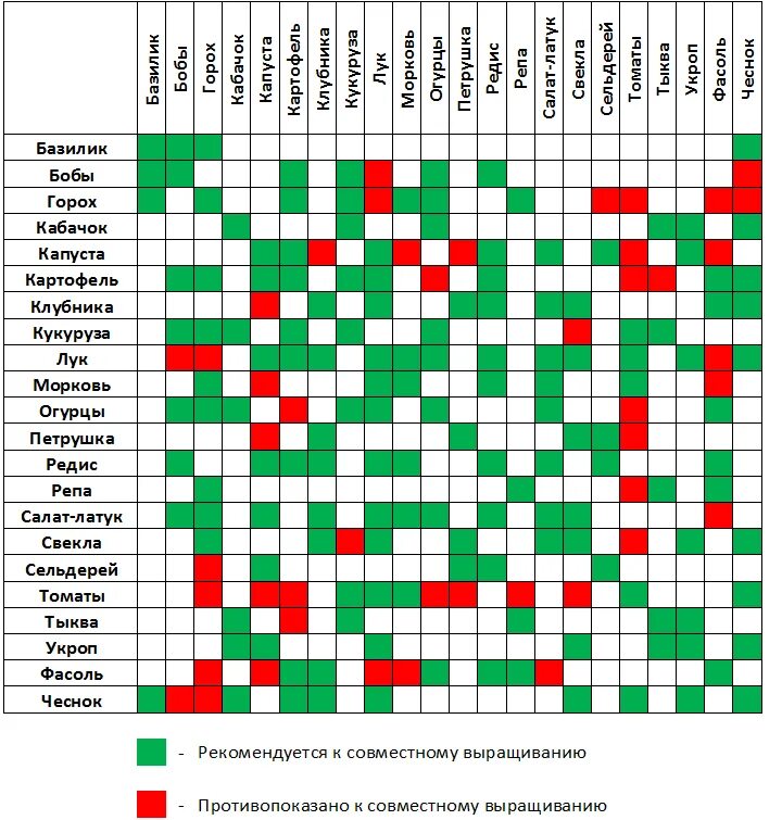 Таблица совмещения посадки овощей. Таблица совместимости на грядке овощных культур. Огородное соседство овощей таблица. Совместимость посадки овощей в огороде на грядках таблица. Что можно посадить вместе с огурцами