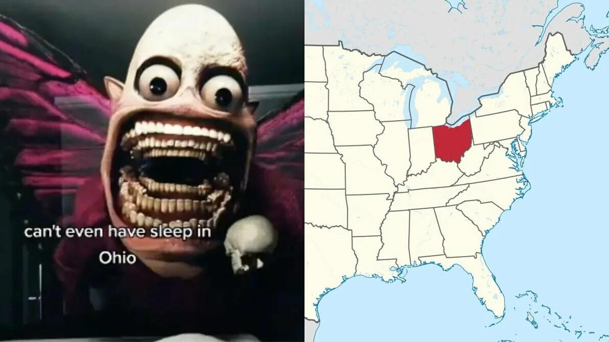 Only in ohio мем. Мистер бист из огайо. Огайо мемы. Only in ohio в чем мем. Only in ohio мем.