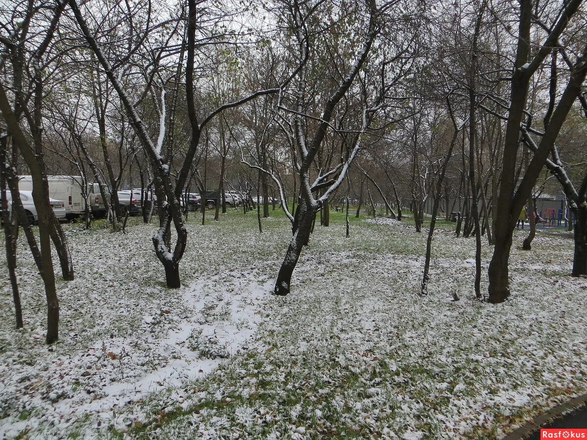 Вишневый сад в коптево. Яблоневый сад вишневый сад. Отель вишневый сад истра. Вишневый сад в коптево. Сквер на вишневой улице.